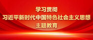 动漫女生BB让男生内射学习贯彻习近平新时代中国特色社会主义思想主题教育_fororder_ad-371X160(2)